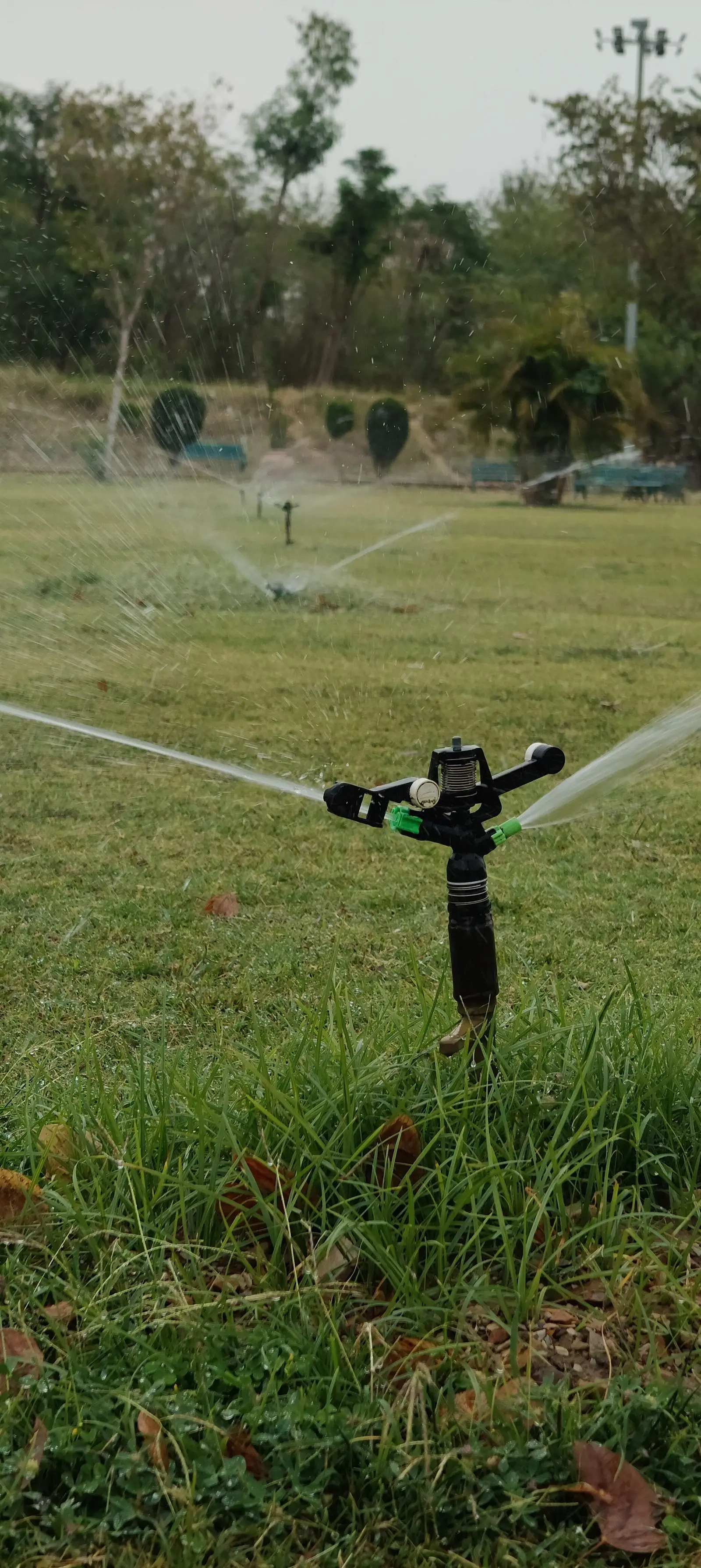 Irrigation sprinkler watering a lawn